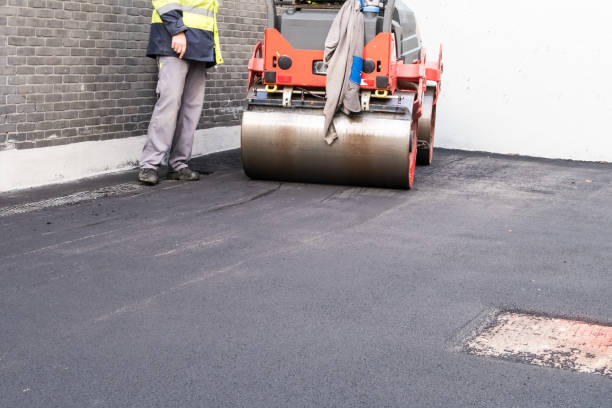 Best Driveway Snow Removal Preparation  in Meadow Glade, WA